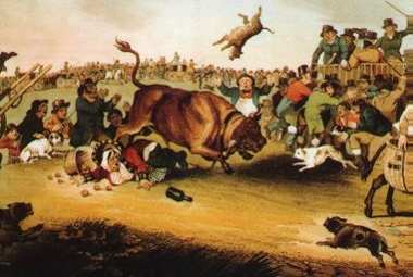 bull_running1821.jpg