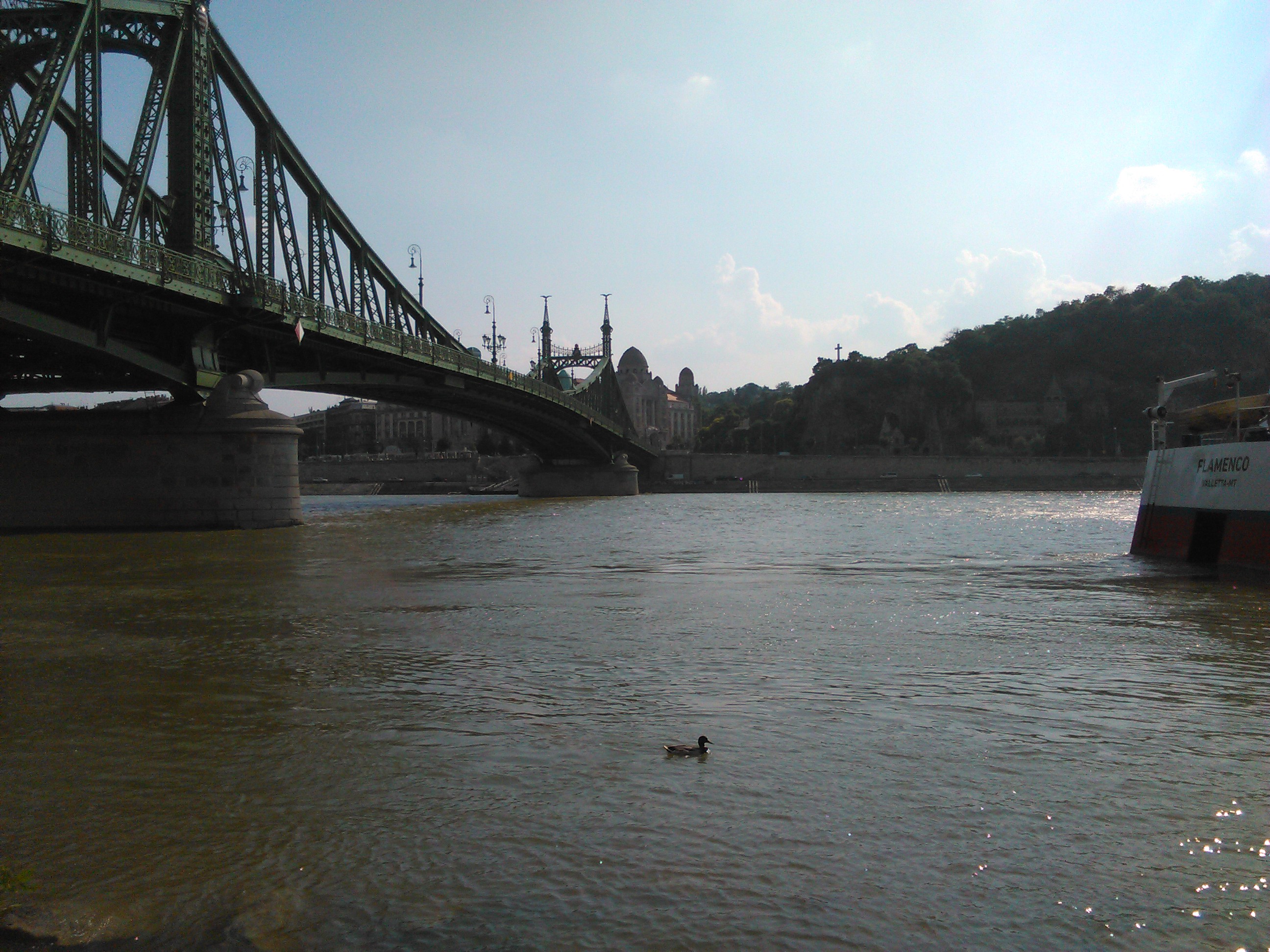 img_20150612_165332.jpg