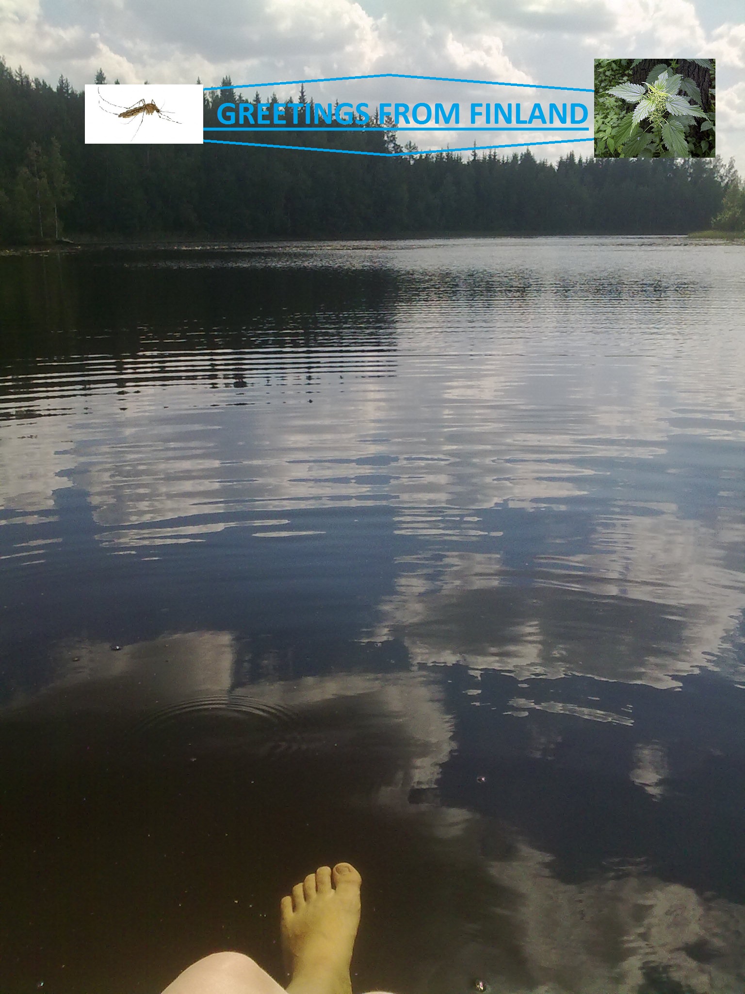 201407071342.jpg
