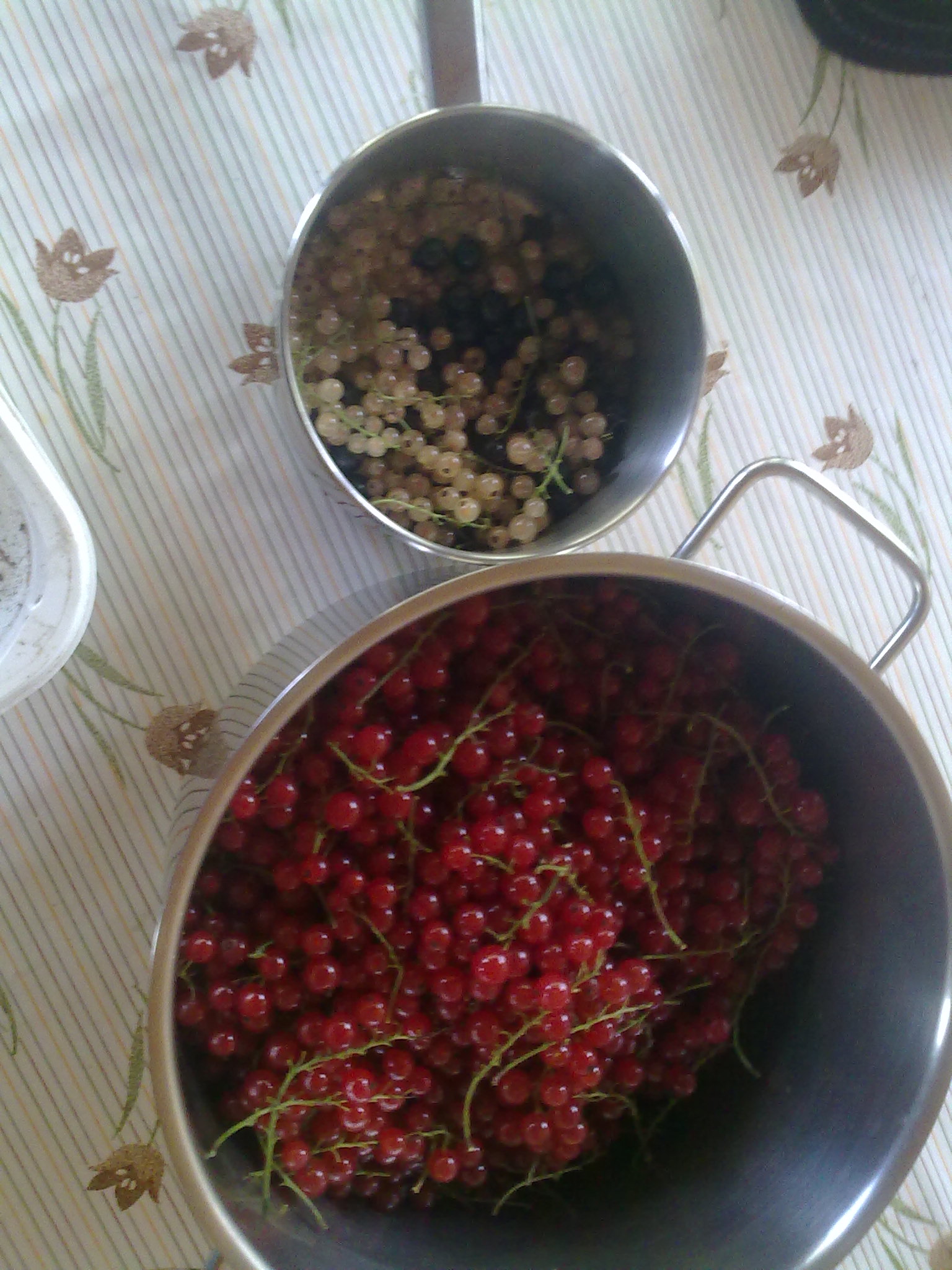 201408161458.jpg