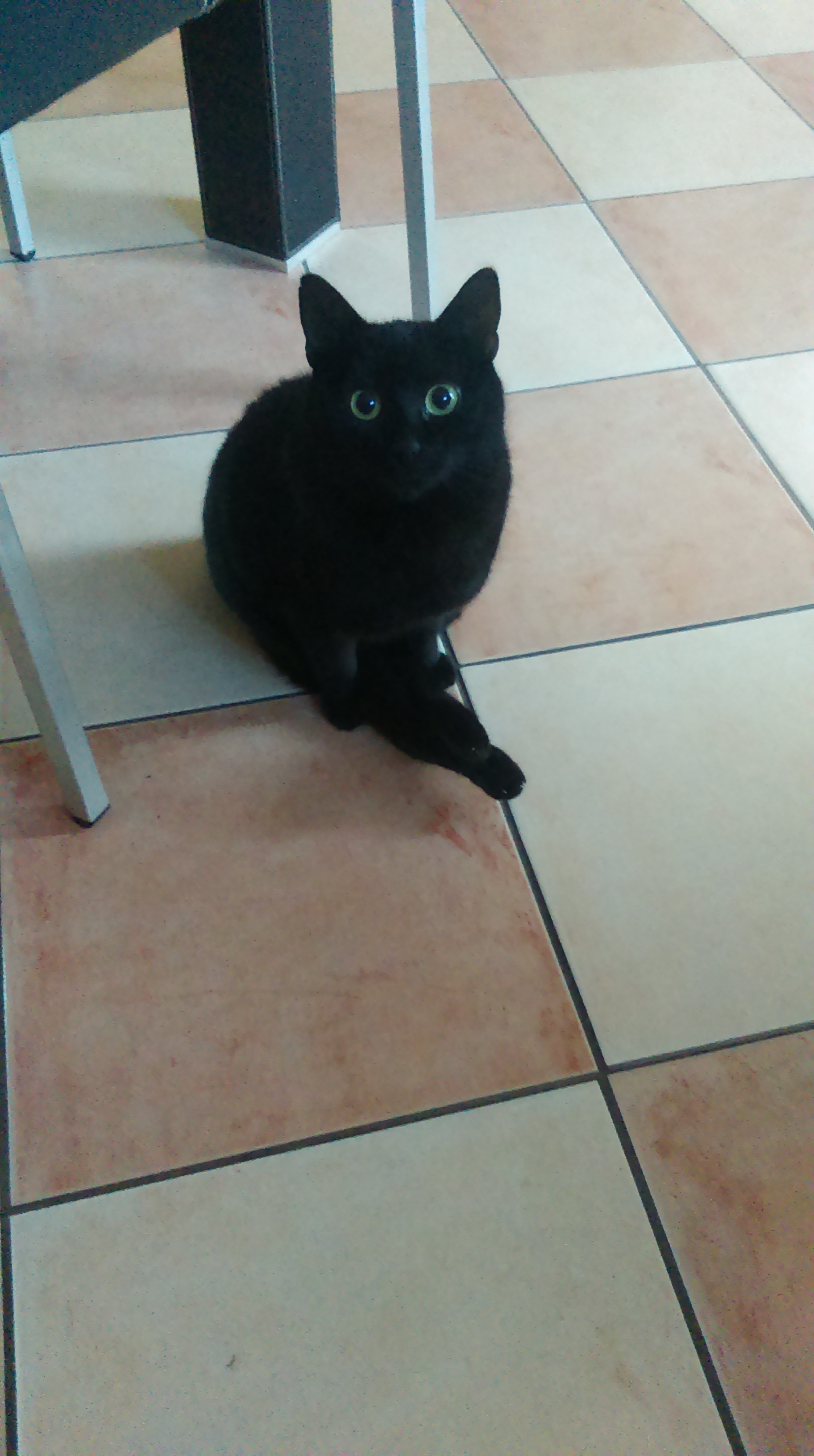 imag0097.jpg