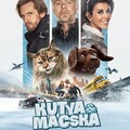 ▷ Videa HD] Kutya és macska" online Teljes film Magyarul 【ingyen】