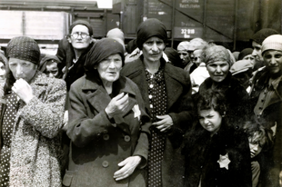 A holokauszt miatti hiány sosem pótolható