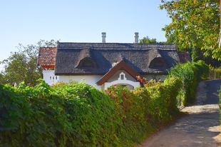 Felfrissít egy csavargás a természetben