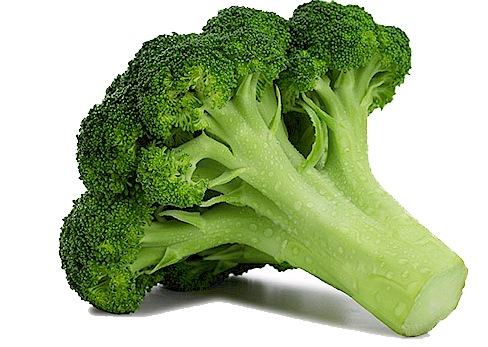broccoli-free-download-png.png