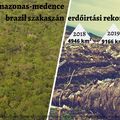 Erdőirtási rekord az Amazonas-medence brazil szakaszán