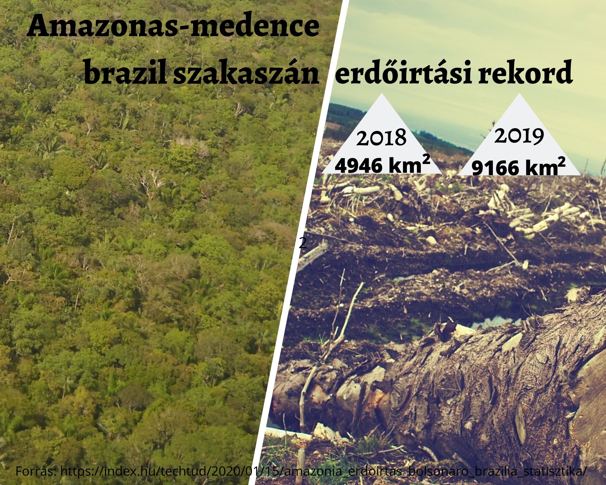 Erdőirtási rekord az Amazonas-medence brazil szakaszán