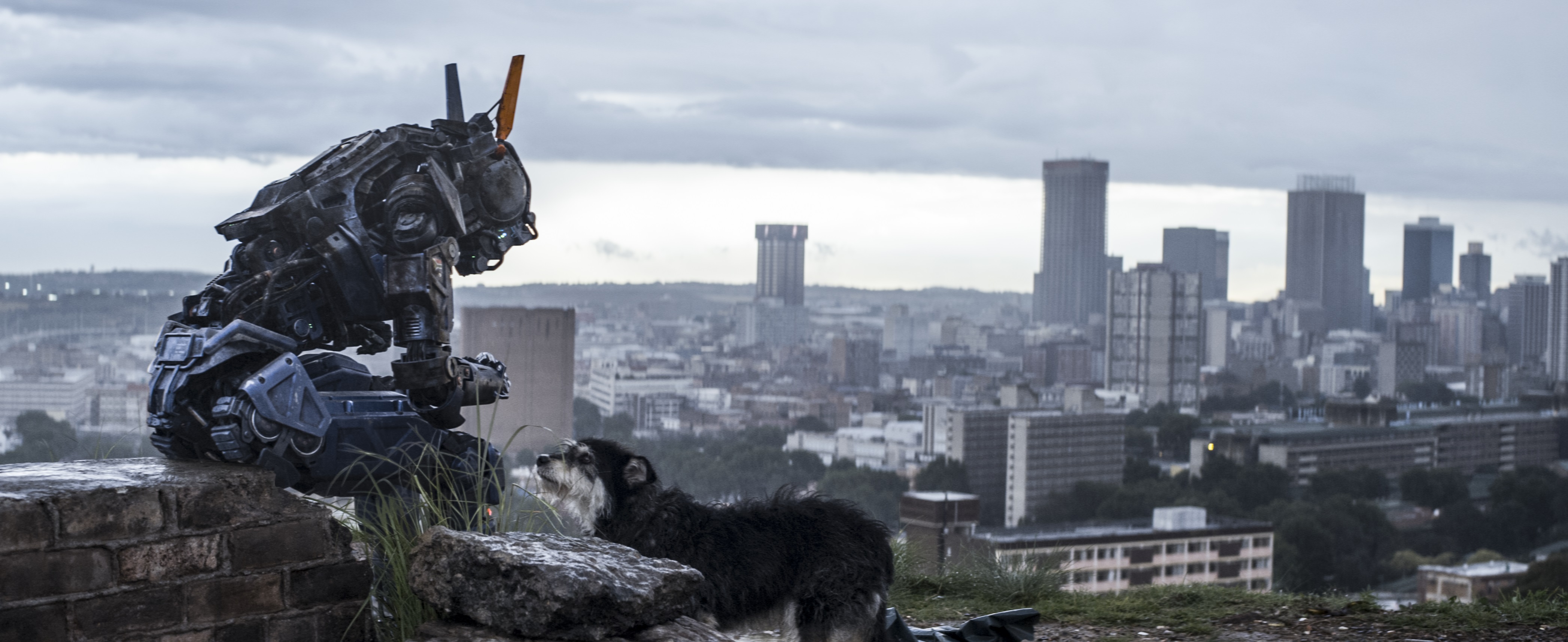 chappie-movie-image-5.jpg