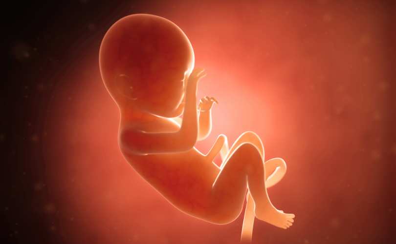 illustration_of_unborn_baby_810_500_55_s_c1.jpg