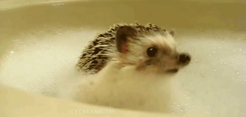 20120614_01_suni.gif