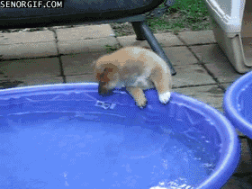 20120706_04_ezviz.gif