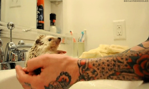 20120706_05_hintapalinta.gif