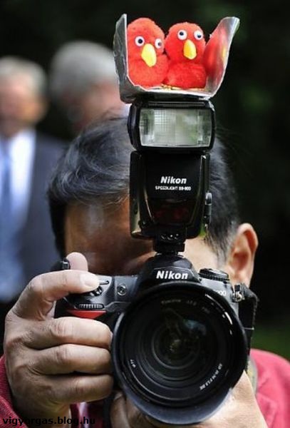20120726_04_mostmondcsiz.jpg