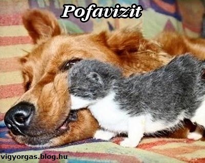 20120802_04_pofavizit.jpg