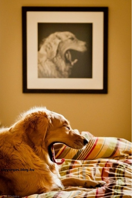 20120910_05_1_onarckep.jpg