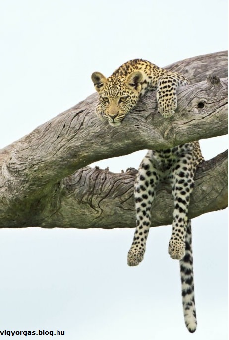 20120913_02_csaklazan.jpg