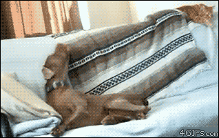 20120913_05_lehuzzaatakarot.gif