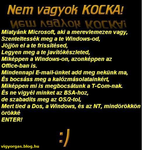 20120917_03_kocka.jpg
