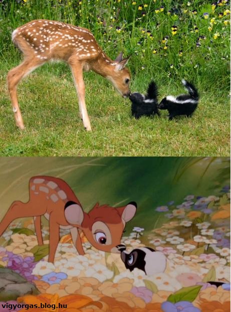 20120926_05_bambi.jpg