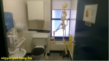 20120927_03_korhaziwc.jpg