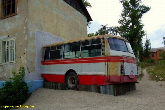 20121002_01_bovites.jpg