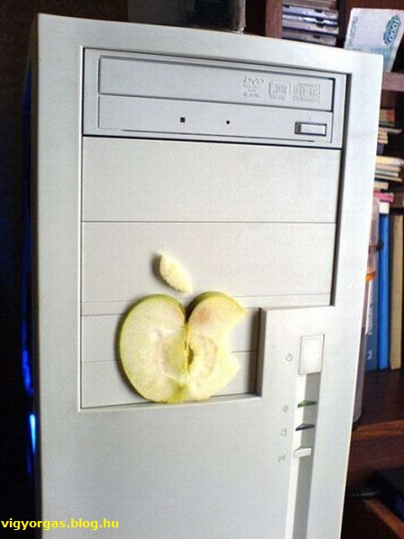20121106_05_apple.jpg
