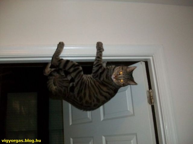 20121112_06_viddinnenazegeret.jpg