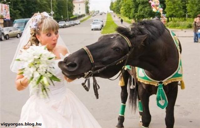 20121213_06_jokisnaszejszakalehetett.jpg