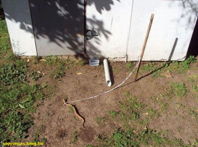 20130504_04_hazorzo.jpg