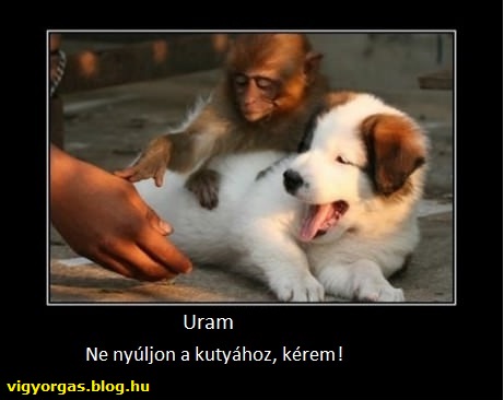 20141219_02_cuki.jpg
