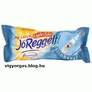 20150123_03_joreggelt.jpg