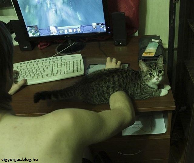 20150304_04_kezmelegito.jpg