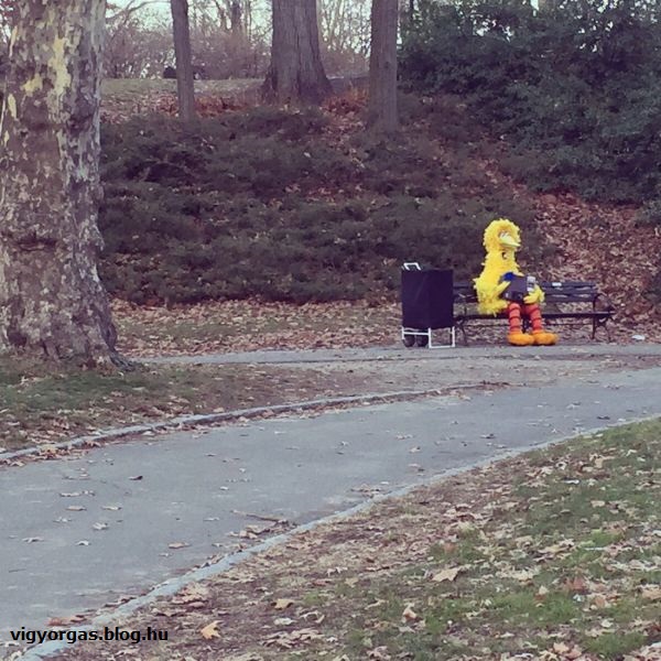 20150625_02_foreveralone.jpg