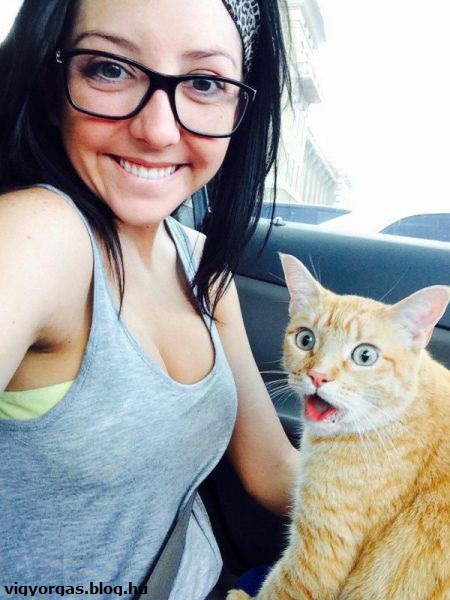 20150922_04_cicaselfie.jpg
