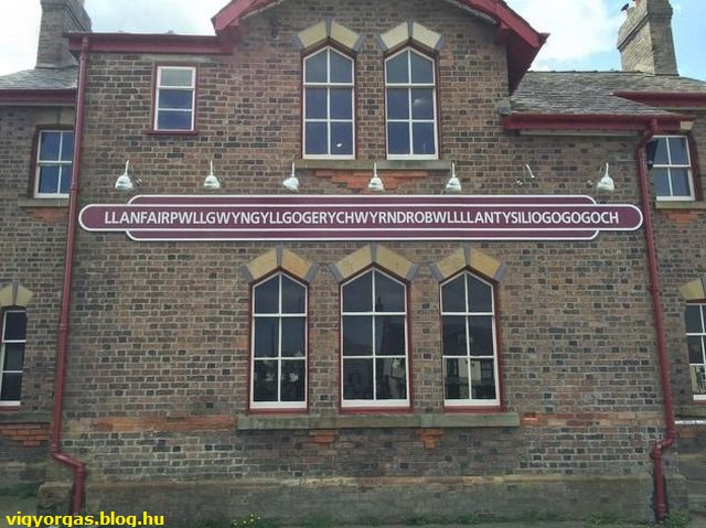 20150922_06_amegalloneve.jpg