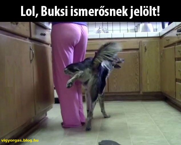 20151127_01-buksi-ismerosnek-jelolt.jpg