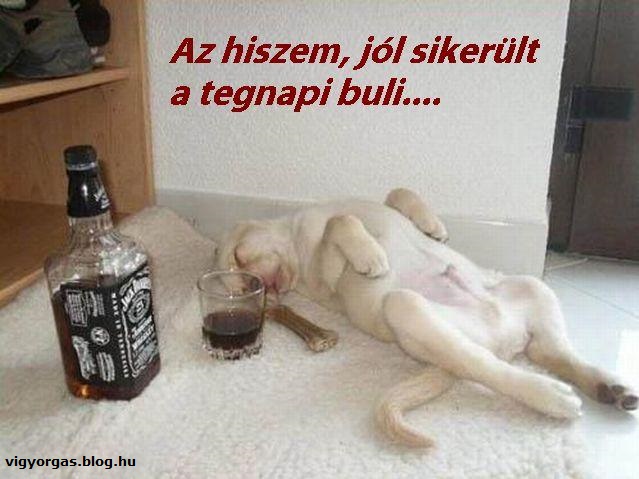 20151127_02_kutyusos_buli.jpg