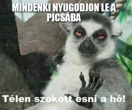 20160106_01_mindenki.jpg