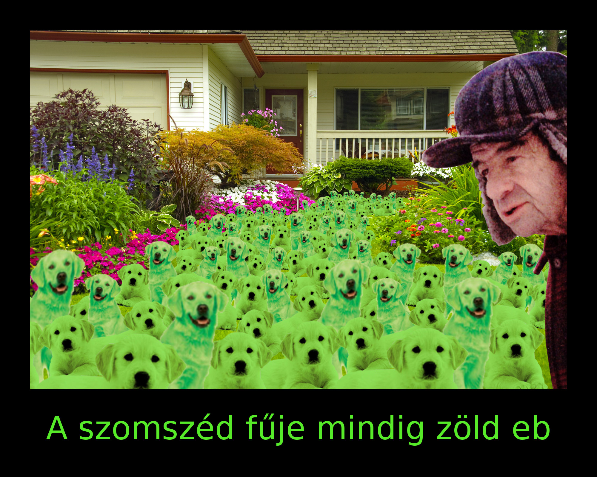 zoldeb.jpg