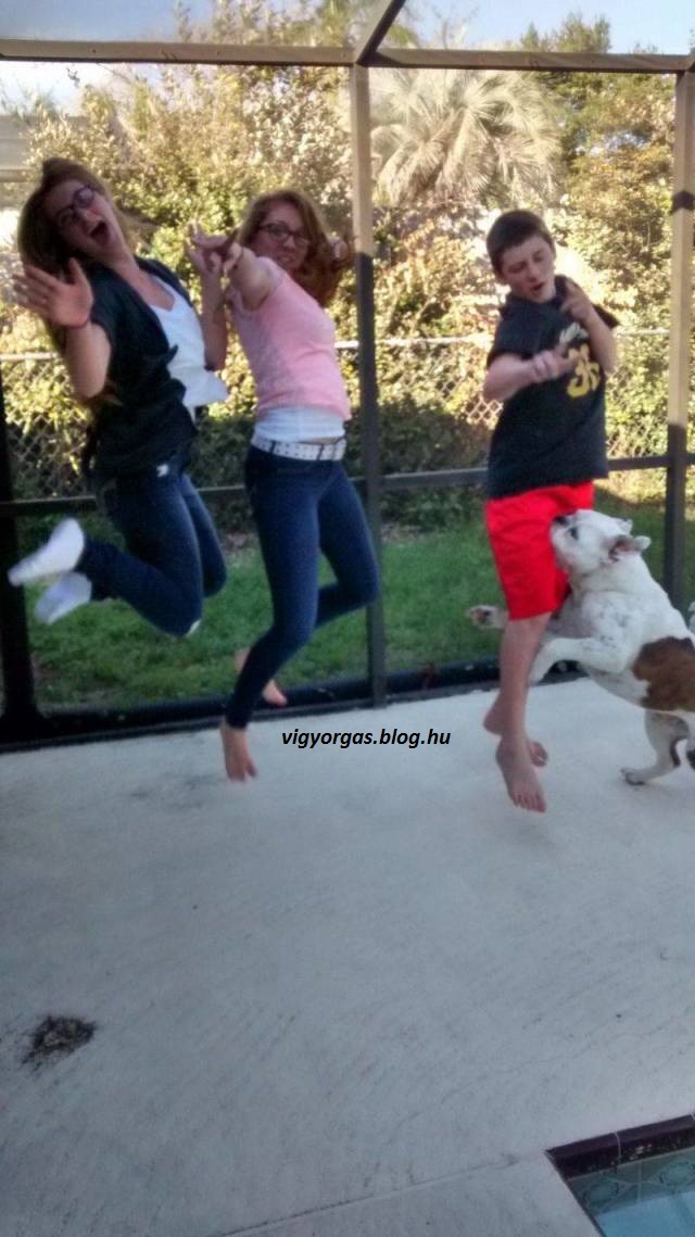 20201102_02_amikor_kell_egy_kis_segitseg.jpg