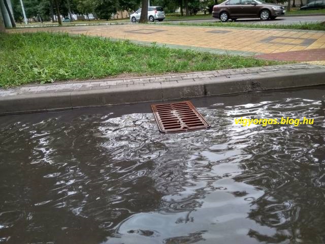 20201103_05_sikeres.jpg