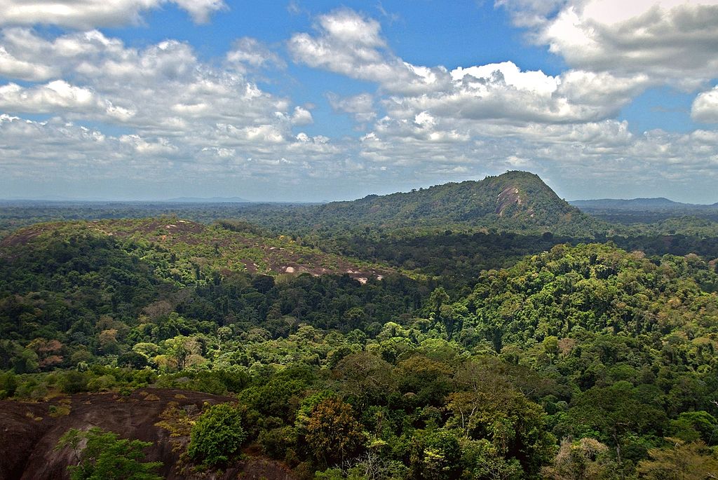 1024px-amazon_jungle_from_above.jpg