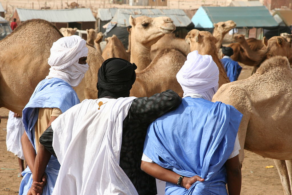 1024px-nouakchott_camel_market2.jpg