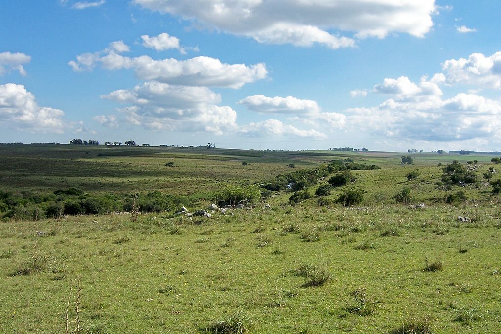 1024px-pradera_y_bosque_de_ribera_uruguay.jpg