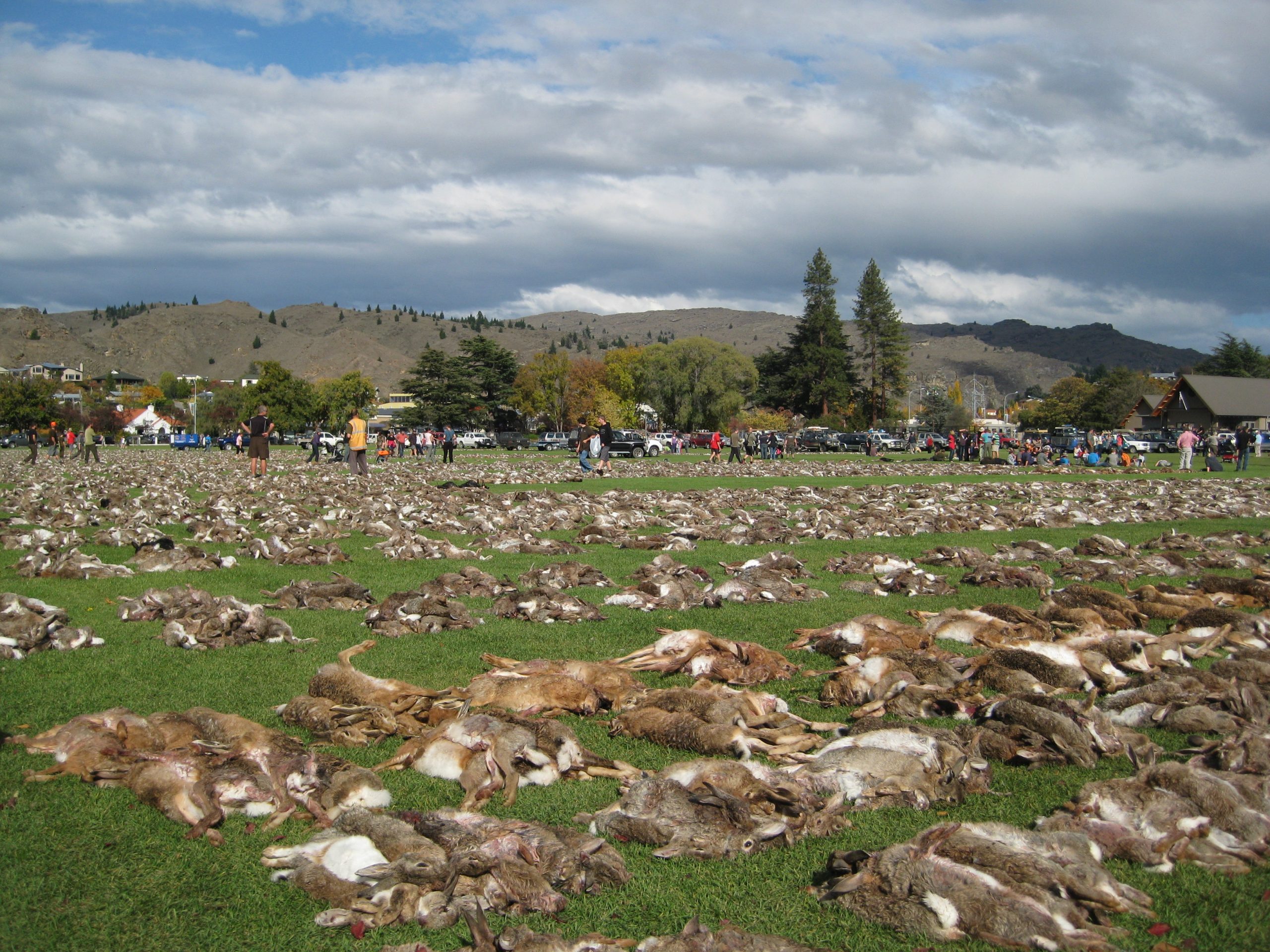 1964_co_nz.jpg