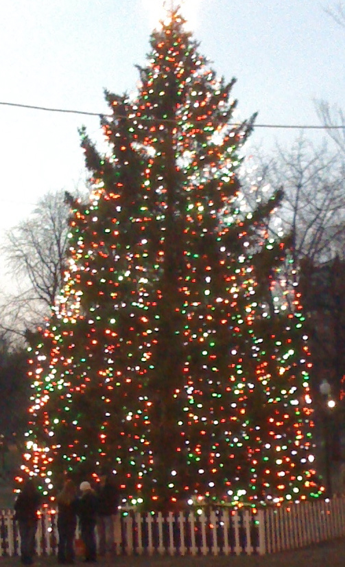2010_boston_halifax_christmas_tree_on_boston_common_usa_5273771973.jpg