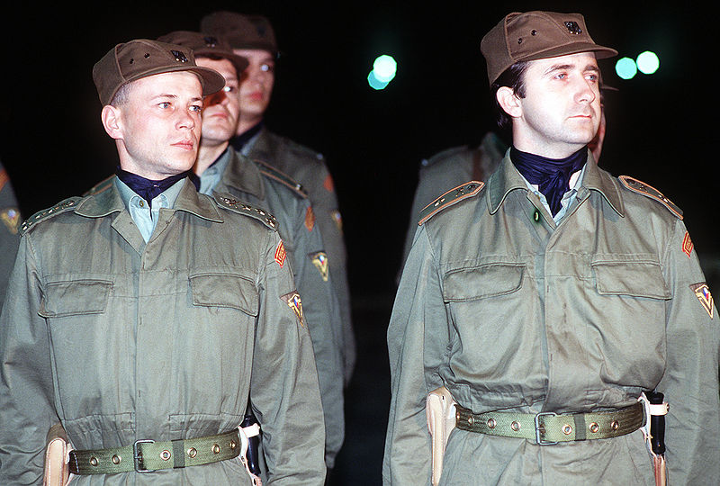 800px-czechoslovak_soldiers_stand_in_formation_during_operation_desert_shield.jpg