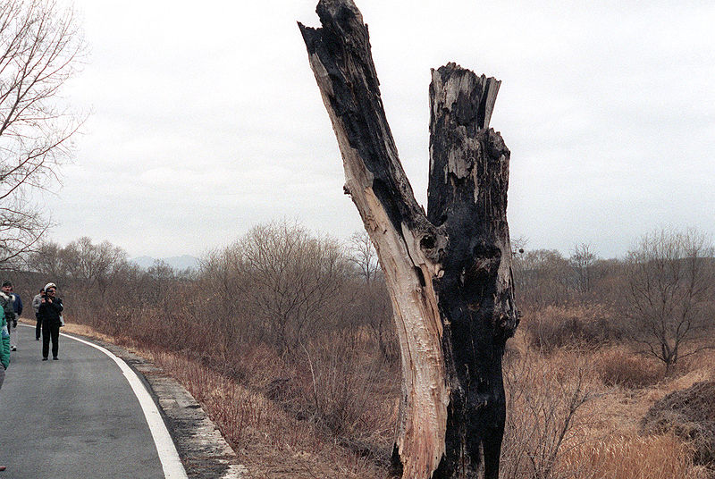 800px-dmz_incident_tree.jpg