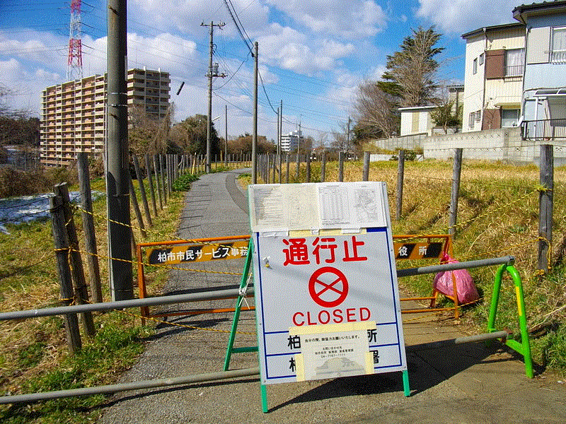 800px-radiation_hotspot_in_kashiwa_02.gif