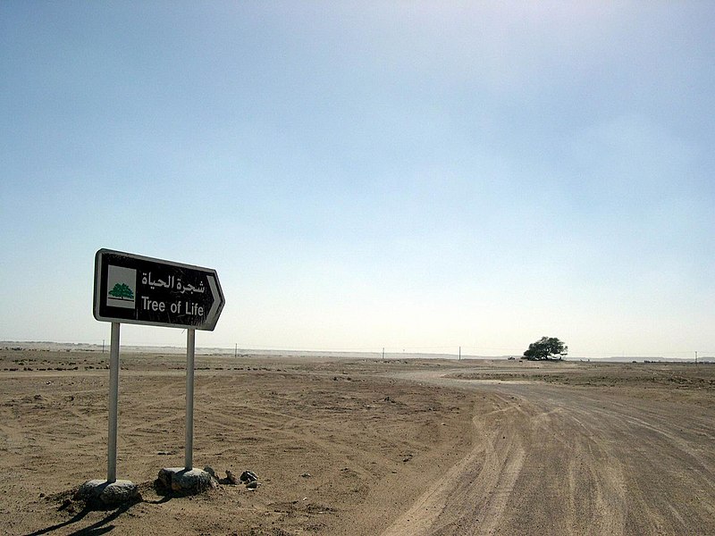 800px-tree_of_life_in_bahrain.jpg